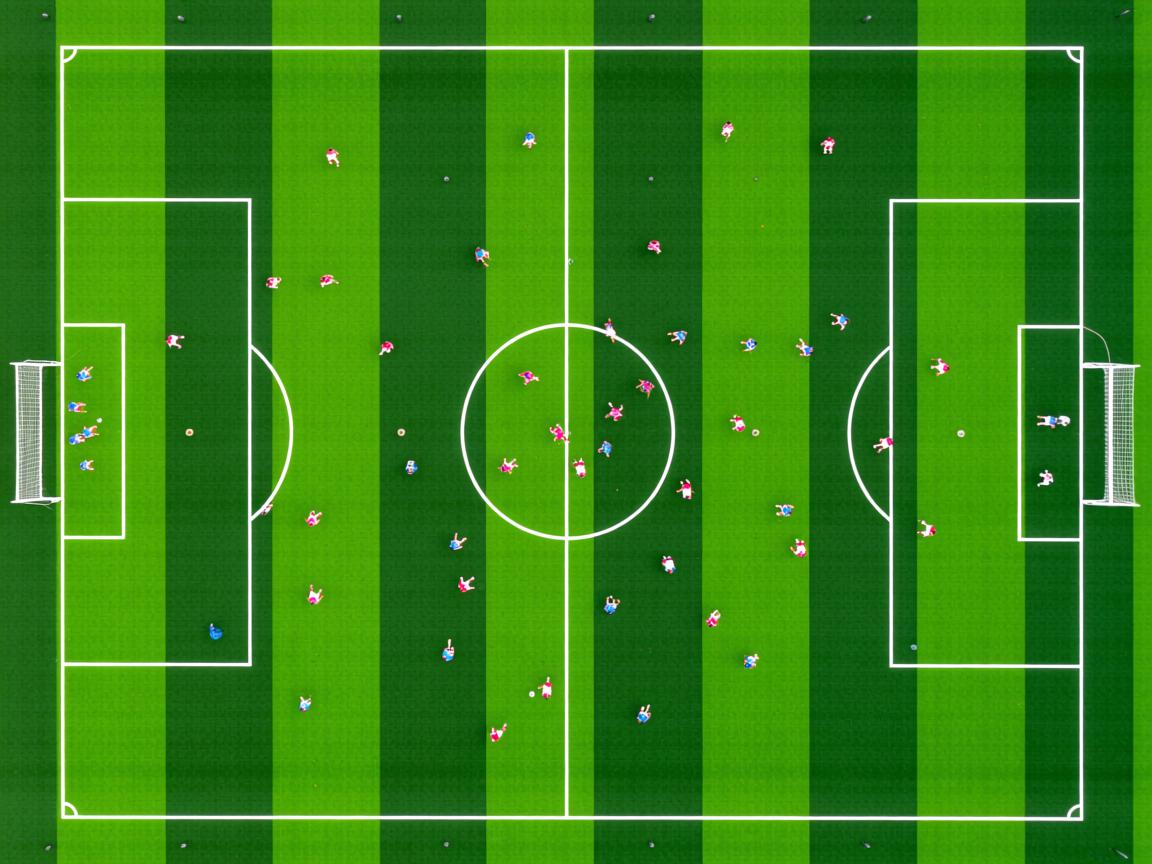 九游官网入口地址-“2025新加坡世界游泳锦标赛：水上芭蕾给你带来惊艳演出”  第2张