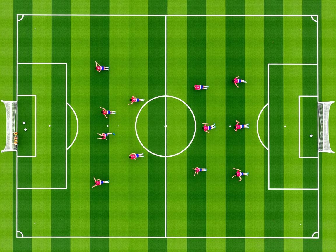 九游官网入口充值-国家队选材标准是否科学合理，国家队选人是怎么选的  第2张