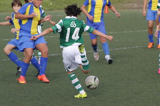 九游娱乐官方平台-基层足球发展资源分配不均  第3张